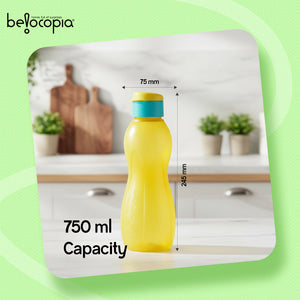 Hiero Water Bottle – 750 ml | Flip Cap | Set of 6